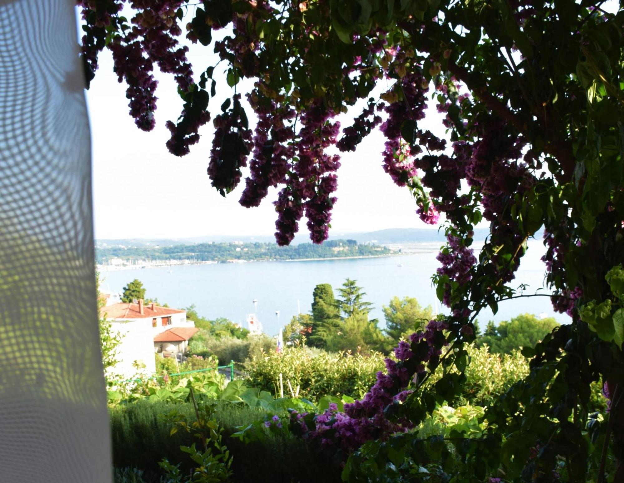 Apartments Fink Portorož Exterior foto