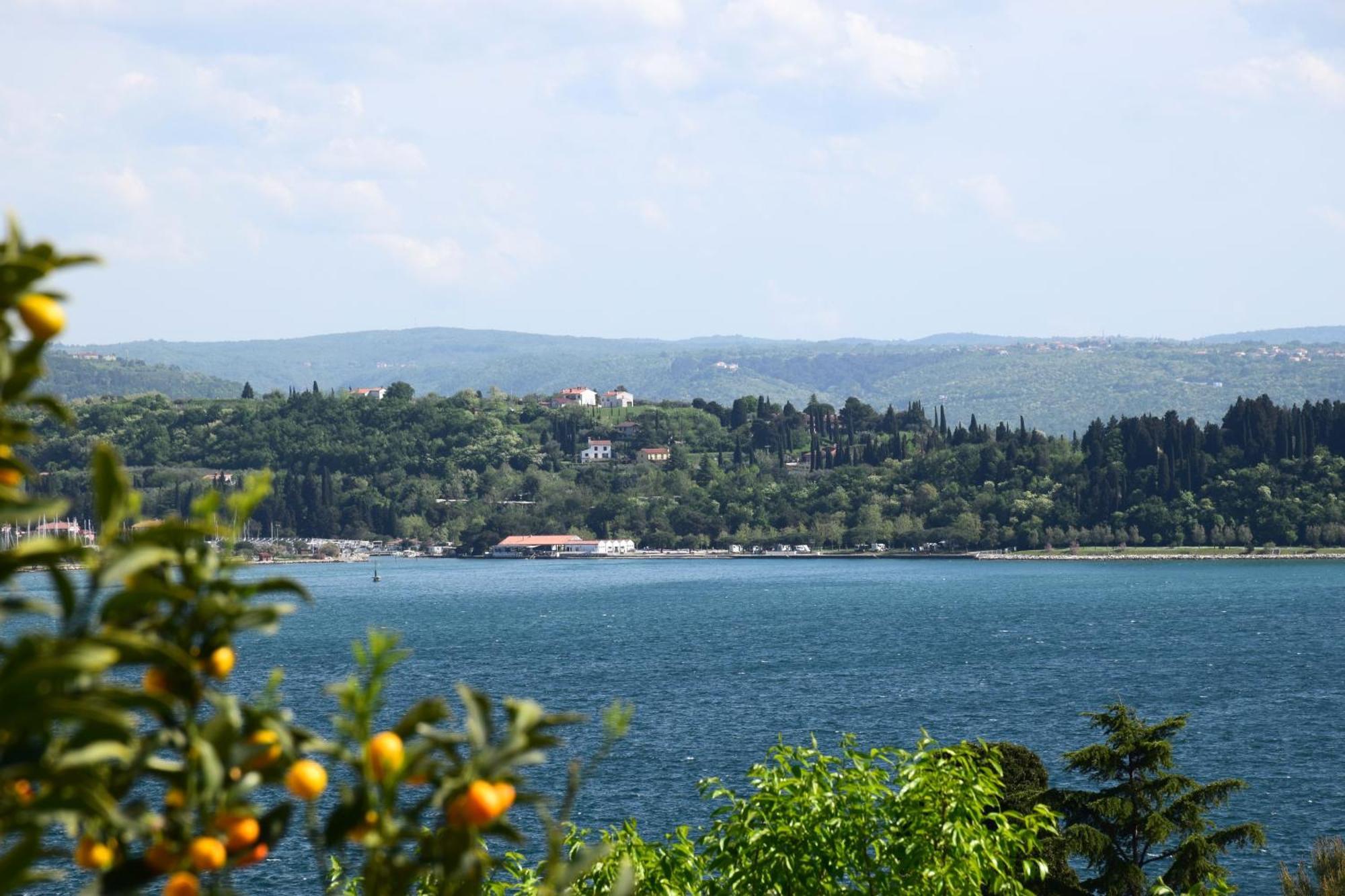 Apartments Fink Portorož Exterior foto